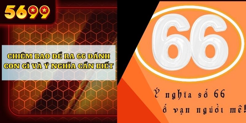 Chiêm bao đề ra 66 đánh con gì và ý nghĩa cần biết