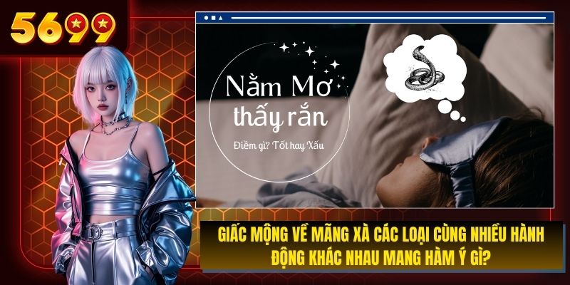 Giấc mộng về mãng xà các loại cùng nhiều hành động khác nhau mang hàm ý gì?