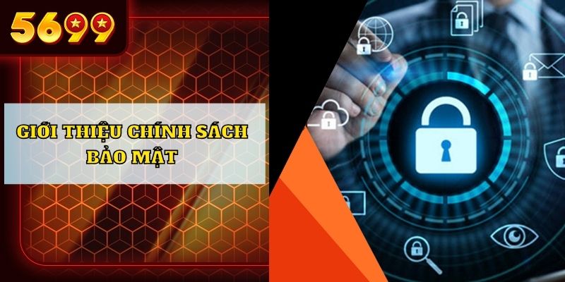 Giới thiệu chính sách bảo mật